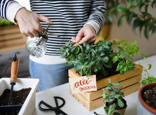 Home Garden Maintenance Tips