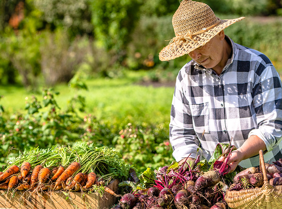 Hand Picked Vegetables